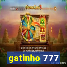 gatinho 777